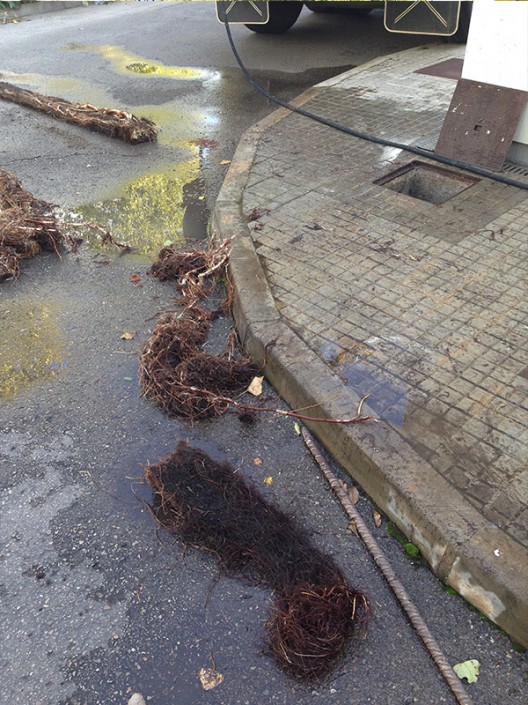 asdfasdfasdfasdfasdf528x705 Cubas el tio paco